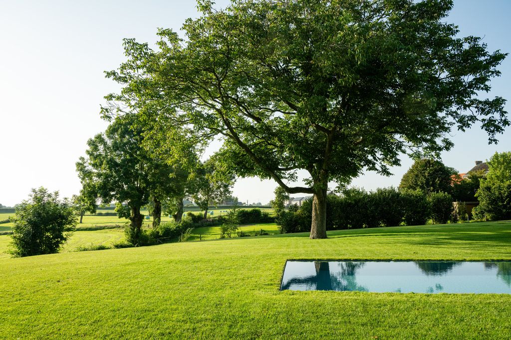 La piscine fondue dans la grande pelouse, sous les arbres, avec la campagne verdoyante en toile de fond