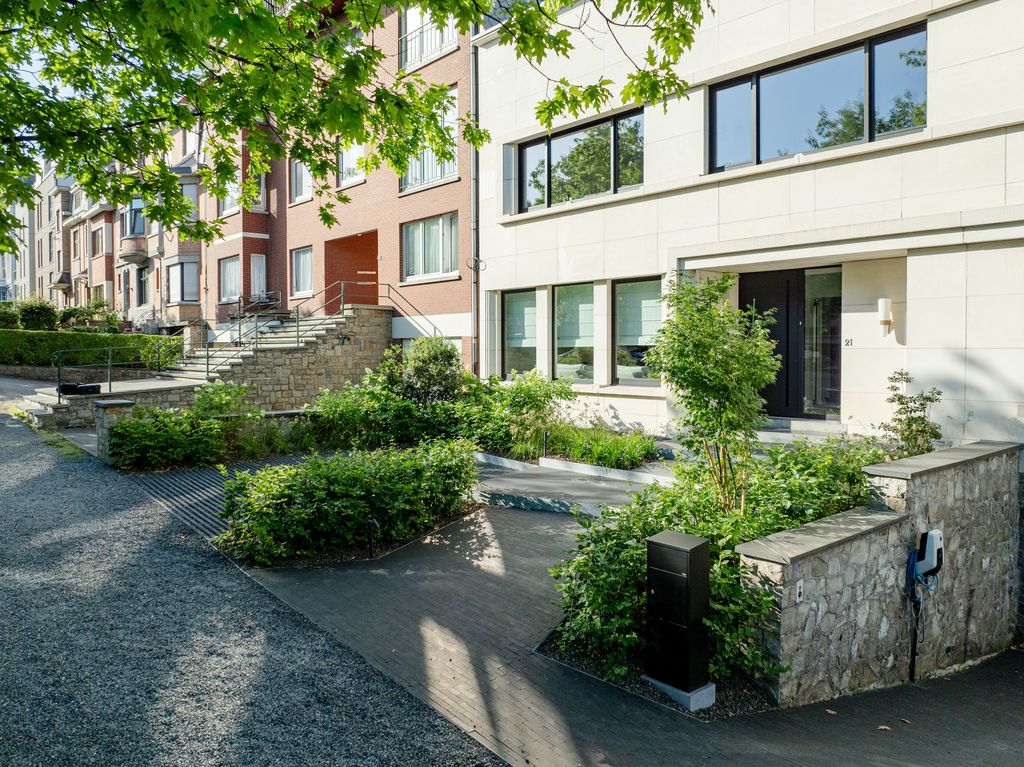 Allée d'accès en pente et escalier d'entrée bordés de plantations, vus en plongée, à Verviers