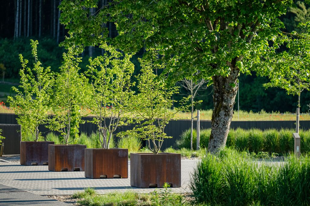 Arbres plantés en bacs corten alignés sur le parvis pavé de l'Anatura Hotel à Weiswampach