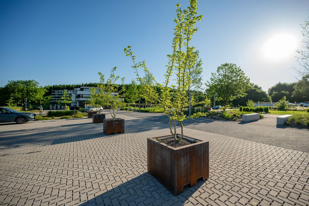 Jeunes arbres en bacs corten sur le parvis pavé de l'Anatura Hotel à Weiswampach